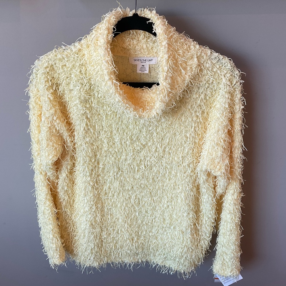 💖HOST PICK💖NWT - Skye’s The Limit Crewneck Sweater - Picture 3 of 8